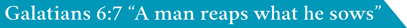 Slogan